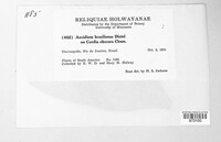 Image Associated With the Occurence